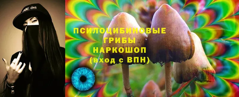 где купить   Добрянка  Псилоцибиновые грибы Cubensis 